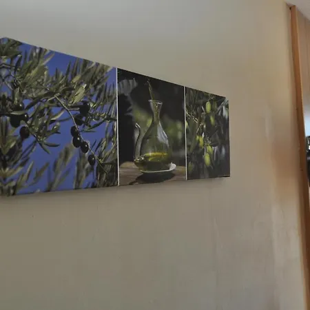 Ξενοδοχείο Les Mimosas 2*