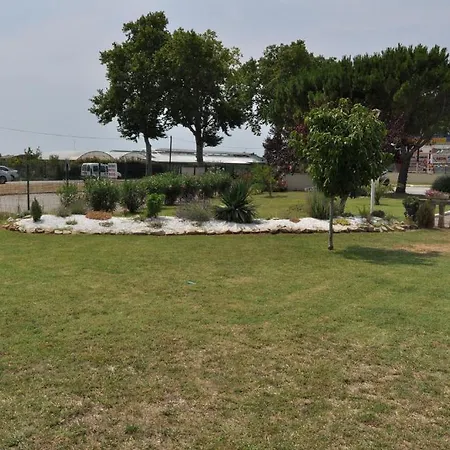 Les Mimosas Lunel (Herault)